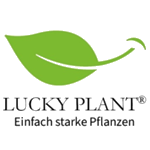Lucky Plant bei Die Höhle der Löwen (DHDL)
